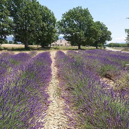 Amandier, Ferme Bel Air, Casa vacanze Riez
